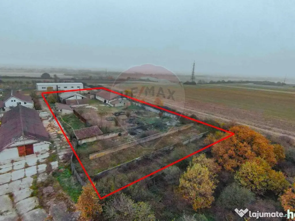 Teren 7500mp și construcții de vânzare, Tilecuș