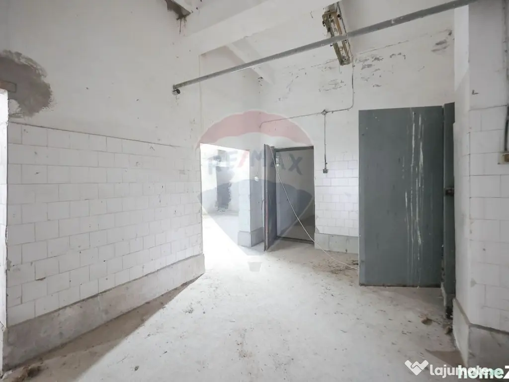 Teren 7500mp și construcții de vânzare, Tilecuș