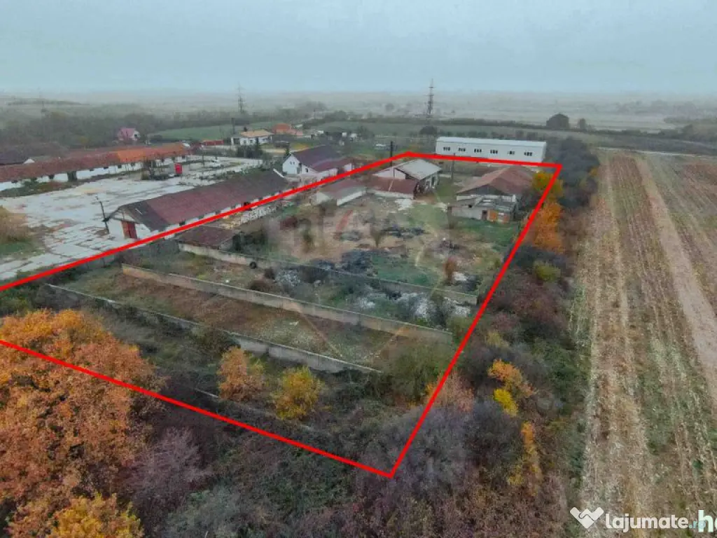 Teren 7500mp și construcții de vânzare, Tilecuș