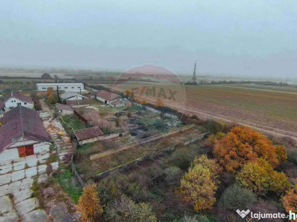 Teren 7500mp și construcții de vânzare, Tilecuș
