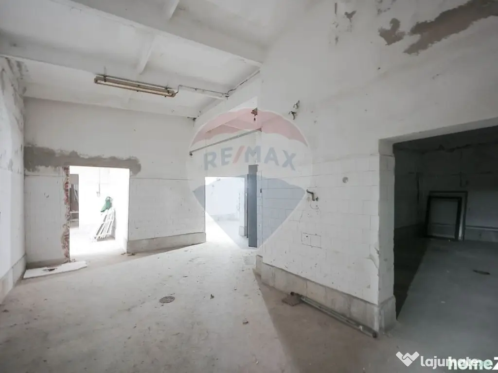 Teren 7500mp și construcții de vânzare, Tilecuș