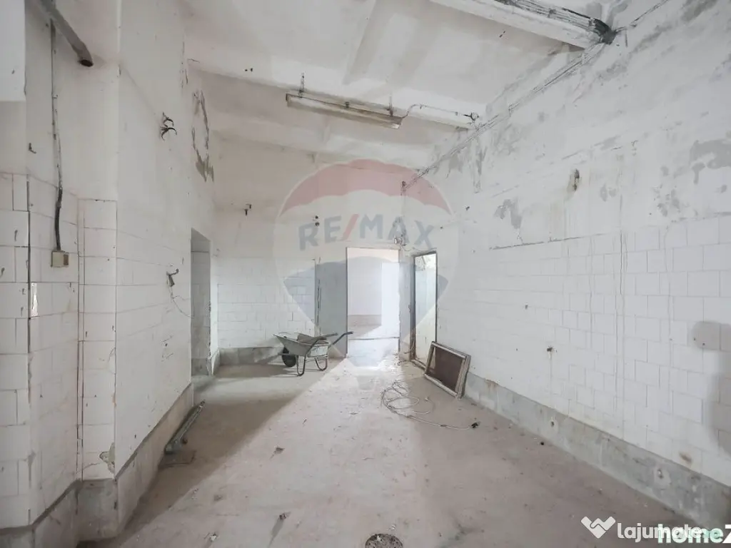 Teren 7500mp și construcții de vânzare, Tilecuș