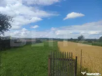 Teren intravilan la sosea, 6400 mp, Vicov de Sus