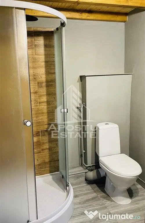 Cabana de inchiriat in Apuseni, Ciubar, Fara vecini, Foisor, Atv - Avram Iancu (Alba)