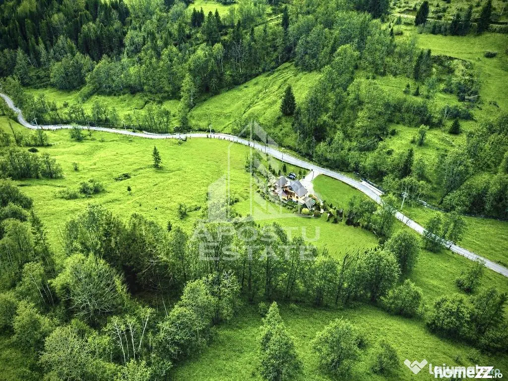 Cabana de inchiriat in Apuseni, Ciubar, Fara vecini, Foisor, Atv - Avram Iancu (Alba)