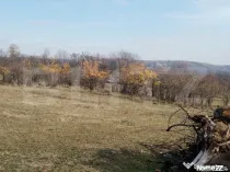 Teren intravilan 21€/mp suprafața 3360 mp