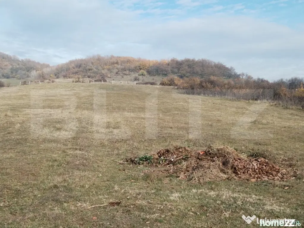 Teren intravilan 21€/mp suprafața 3360 mp - Aninoasa (Dambovita)