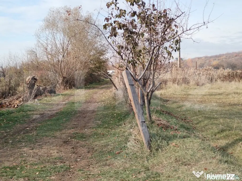 Teren intravilan 21€/mp suprafața 3360 mp - Aninoasa (Dambovita)