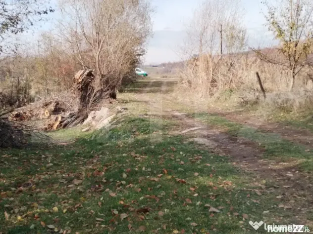 Teren intravilan 21€/mp suprafața 3360 mp - Aninoasa (Dambovita)