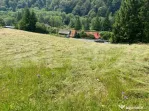 Oportunitate de Investiție: Teren de 10.000 mp la Intrarea
