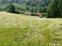 Oportunitate de Investiție: Teren de 10.000 mp la Intrarea