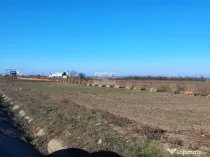 Teren 5000 mp, ieșire din Tecuci, după Peco Gălbenuș