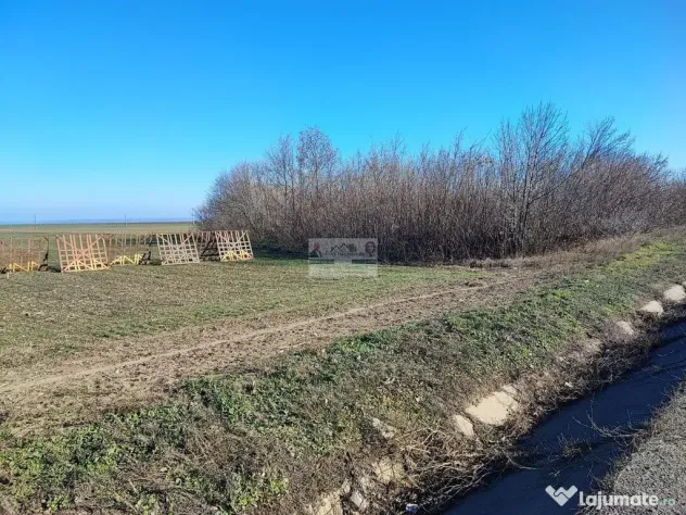 Teren 5000 mp, ieșire din Tecuci, după Peco Gălbenuș