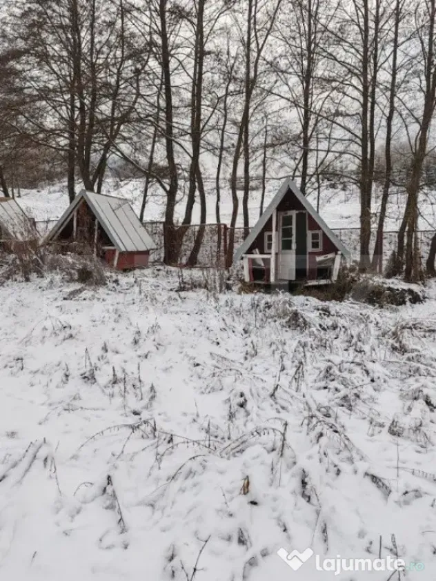 Cabana 3 camere + 1,7 ha teren , Spre Campul Cetatii