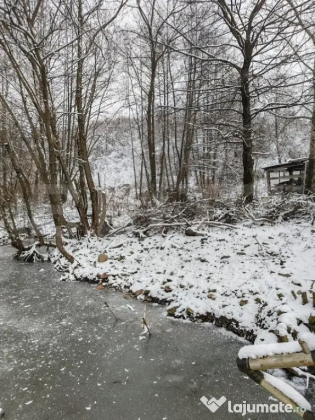 Cabana 3 camere + 1,7 ha teren , Spre Campul Cetatii