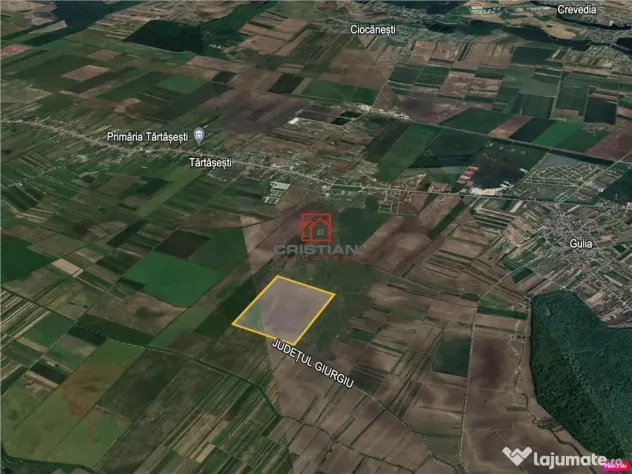 Teren agricol extravilan Tartasesti - Gulia, Dambovita