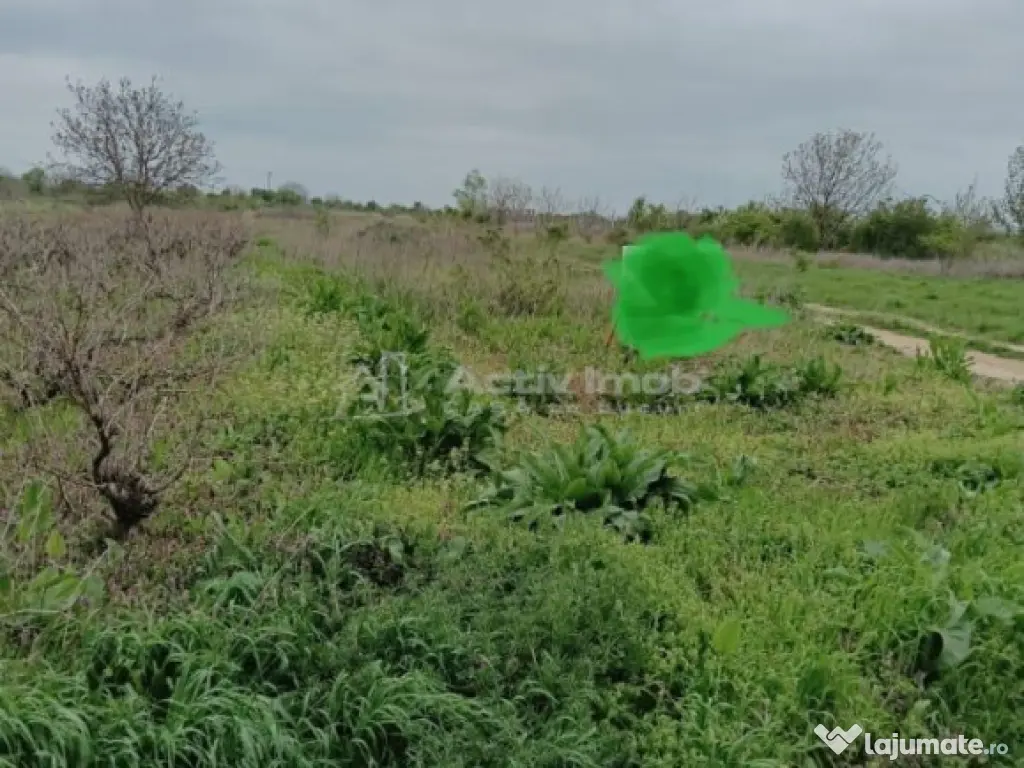 Teren 2000 mp--Pozitie excelenta-Mihailesti-Centru-Deschider