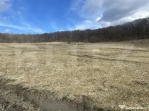 Teren extravilan de vanzare, 2,4 hectare, zona drumul Tarpiu
