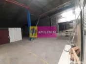 Spatiu Logistic langa Bucuresti Hala 5000 mp 