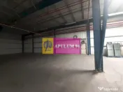 Spatiu Logistic langa Bucuresti Hala 5000 mp 