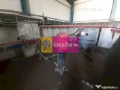 Spatiu Logistic langa Bucuresti Hala 5000 mp 