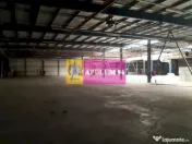 Spatiu Logistic langa Bucuresti Hala 5000 mp 