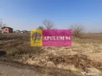 Teren investitie Ilfov