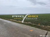 Plaja Corbu-Teren 4200mp. la numai 8 euro /mp. Soseaua asfal 