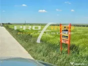 Plaja Corbu-Teren 4200mp. la numai 8 euro /mp. Soseaua asfal 