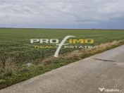 Plaja Corbu-Teren 4200mp. la numai 8 euro /mp. Soseaua asfal 