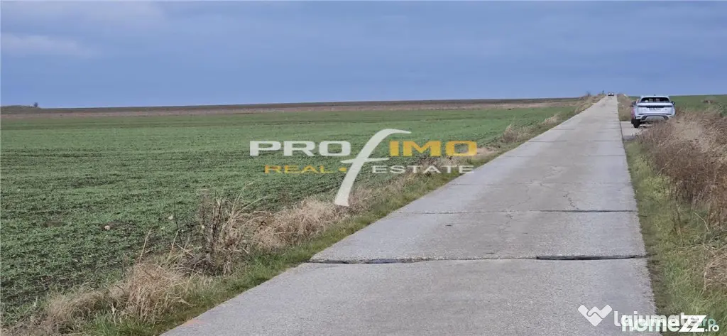 Plaja Corbu-Teren 4200mp. la numai 8 euro /mp. Soseaua asfal - Corbu (Constanta)