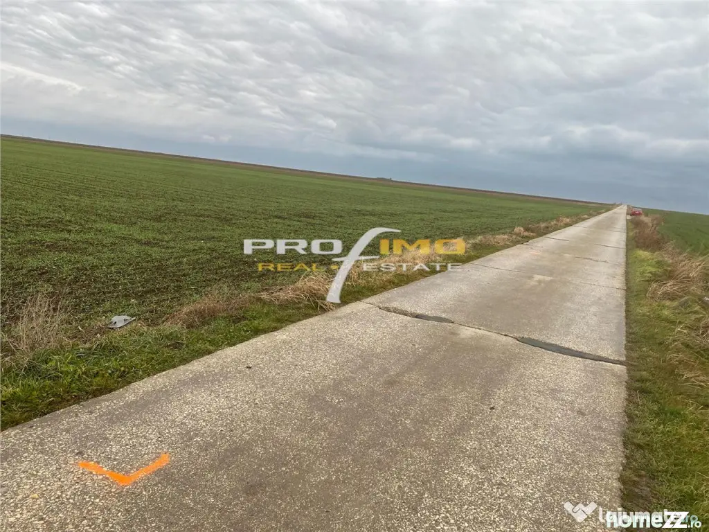 Plaja Corbu-Teren 4200mp. la numai 8 euro /mp. Soseaua asfal - Corbu (Constanta)