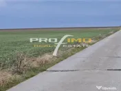 Plaja Corbu-Teren 4200mp. la numai 8 euro /mp. Soseaua asfal 