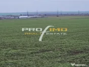 Plaja Corbu-Teren 4200mp. la numai 8 euro /mp. Soseaua asfal 