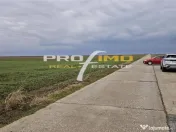 Plaja Corbu-Teren 4200mp. la numai 8 euro /mp. Soseaua asfal 