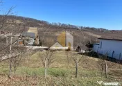 Teren intarvilan de vanzare - Valea Rusului. 