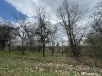 Vând casa cu 1 ha de livadă in Carmazanesti