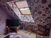 Apartament 1 camera la mansarda,zona Porii 