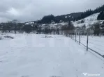 Teren intravilan de vanzare, 4000 mp, zona Vatra Dornei - St