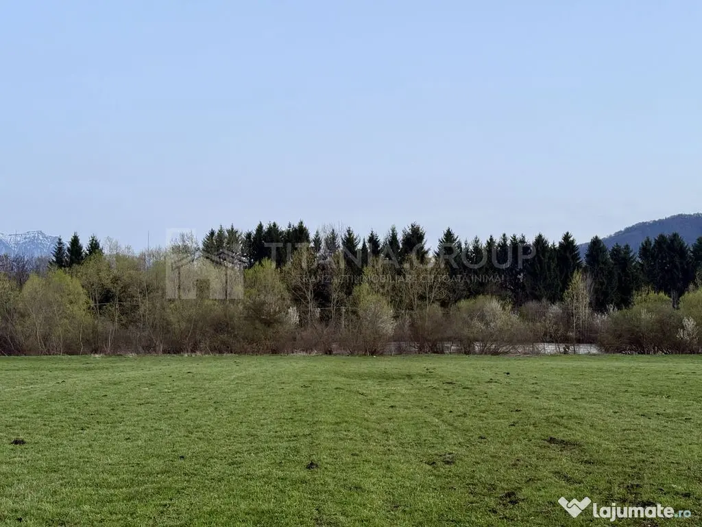 Teren intravilan, 7838 mp, cu priveliște superbă spre m...