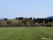 Teren intravilan, 7838 mp, cu priveliște superbă spre m... 