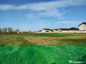 Teren investitie Cernica, Posta 