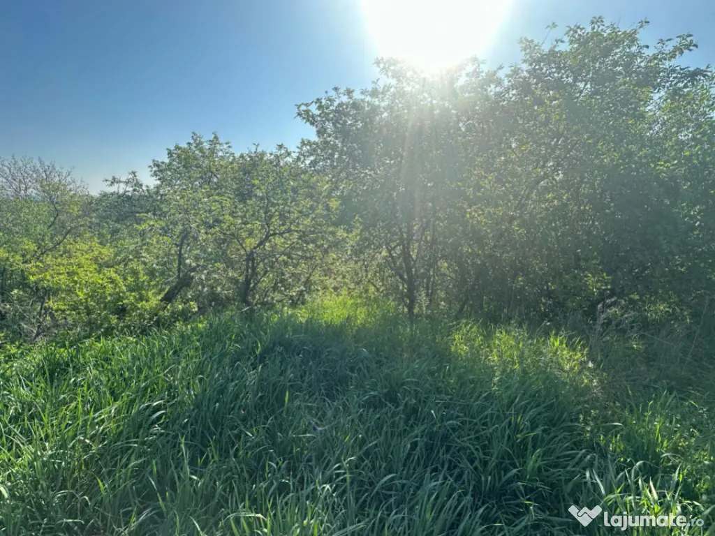 Casa Individuala Ozun Covasna teren 3200 mp