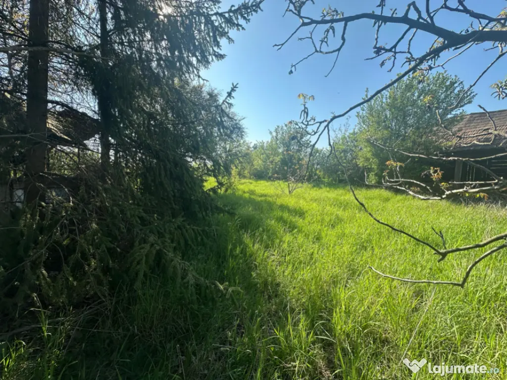 Casa Individuala Ozun Covasna teren 3200 mp