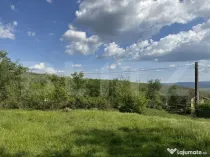 Teren intravilan de vanzare, 15080 mp, zona Tătărăști