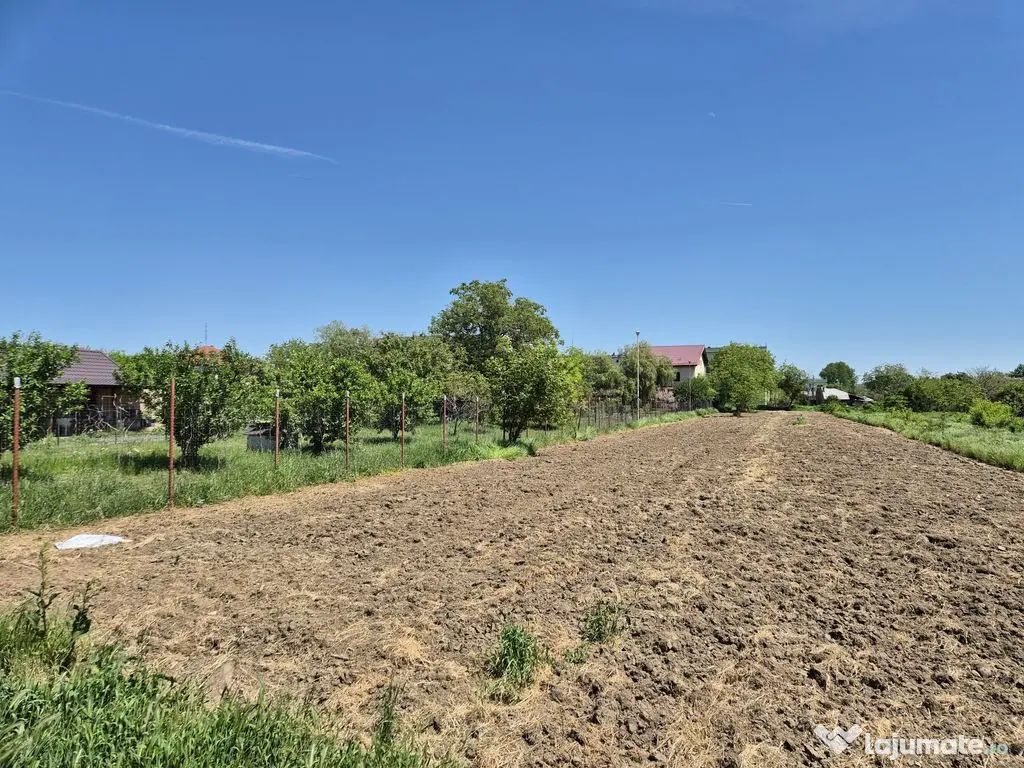 Teren intravilan 2658 mp cu bransament electric trifazic ...