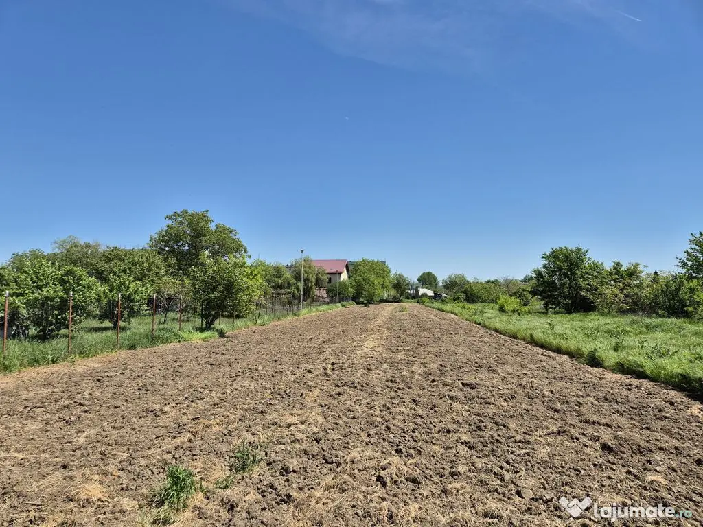 Teren intravilan 2658 mp cu bransament electric trifazic ...