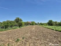 Teren intravilan 2658 mp cu bransament electric trifazic ...