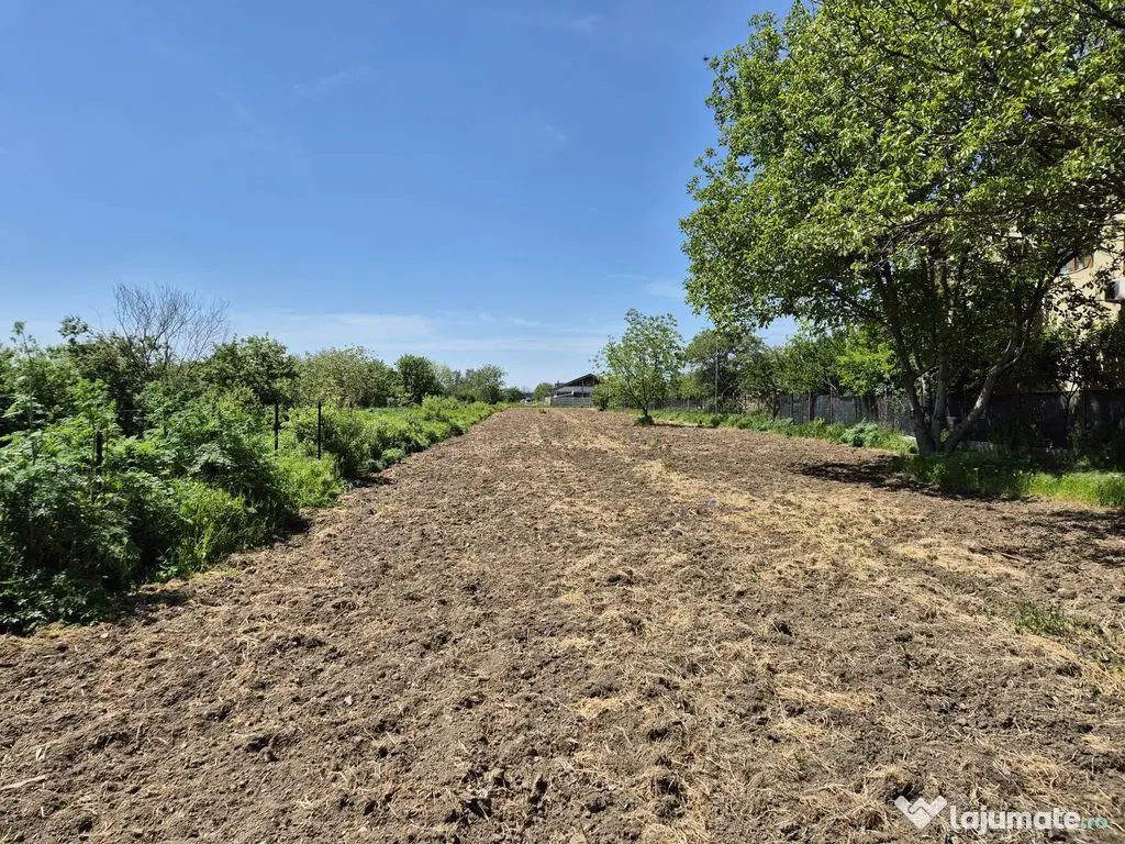 Teren intravilan 2658 mp cu bransament electric trifazic ...