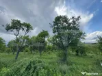 Teren extravilan de vanzare, 5305 mp, in apropiere de Hațeg